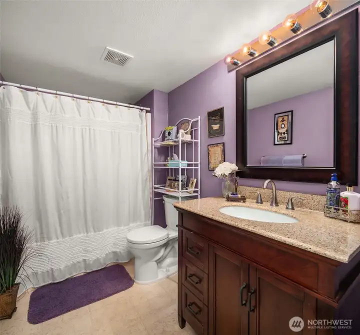 Basement bathroom, replete with bathtub