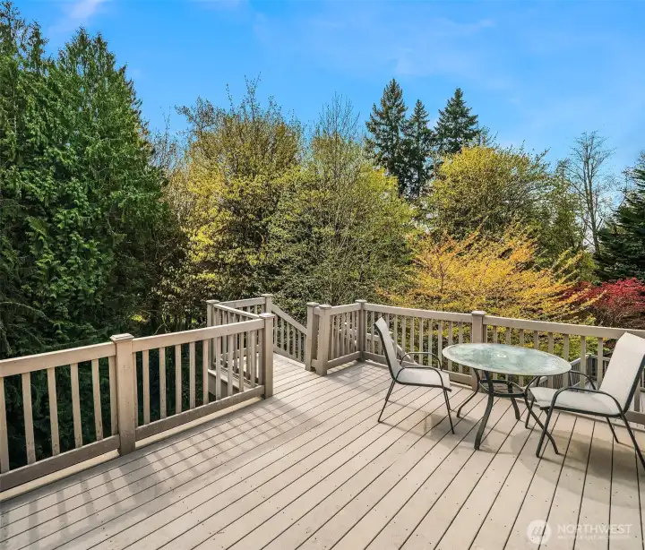 Entertainer's deck on multiple levels