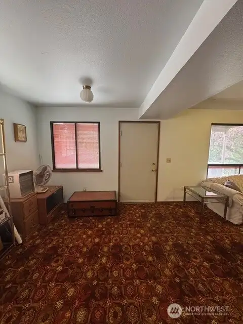 Basement Living Area