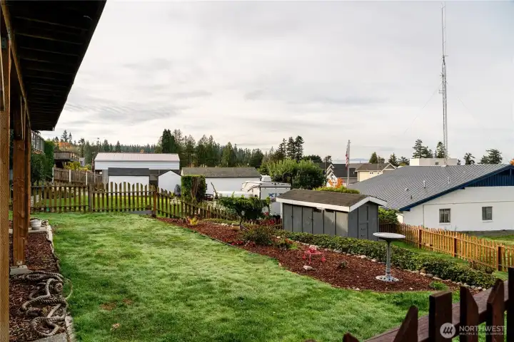 Backyard