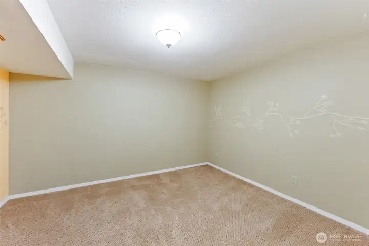 Bonus room lower level