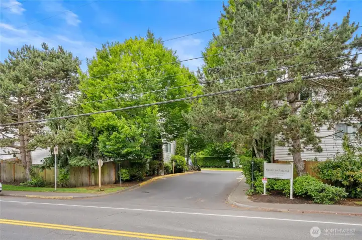 Shoreline Village is surrounded by lush trees.