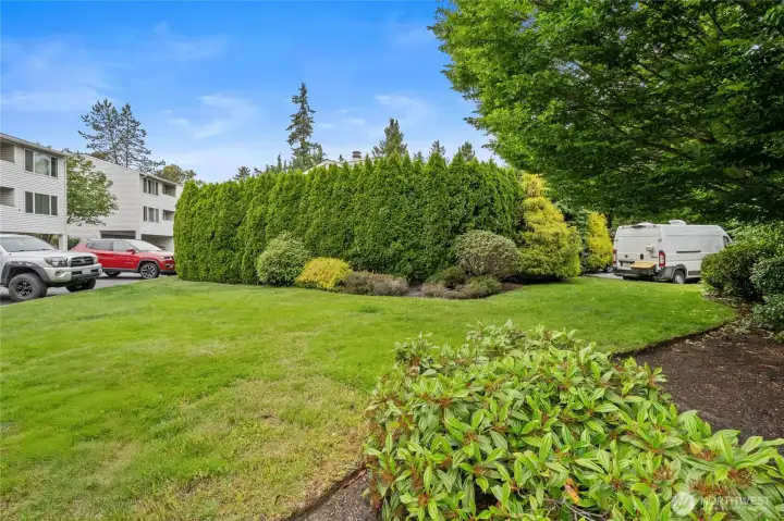 Mature landscaping on the property.