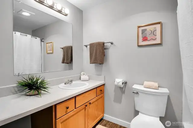 Additional storage in the bathroom linen closet (linen closet not pictured).