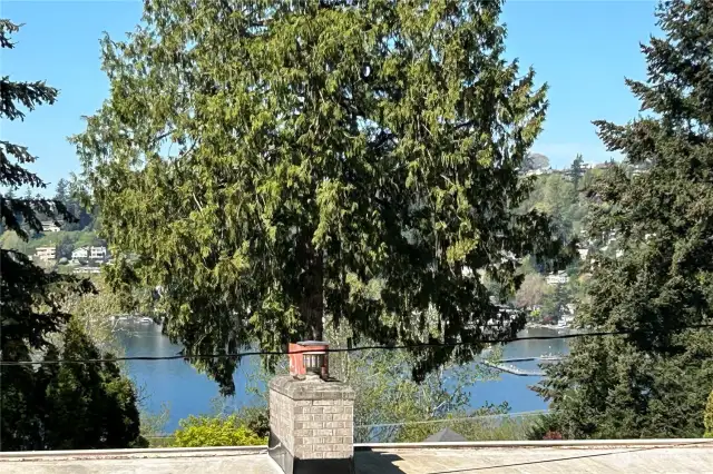 view