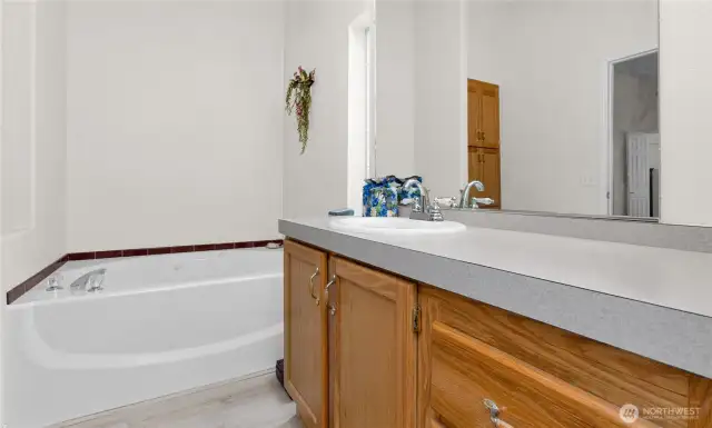 The primary bath has a nice size soaking tub as well as a walk-in shower.