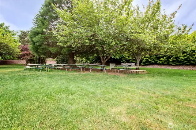 Community Park is next door