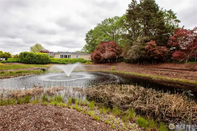 Nice water feature in the park