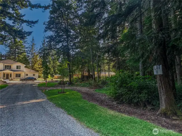 Front yard space on east side of lot.