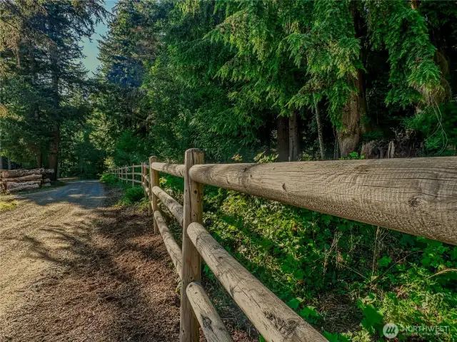 View of fence that goes along the southern part of the lot.