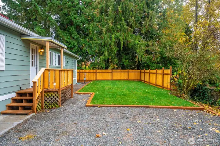 Driveway and back door