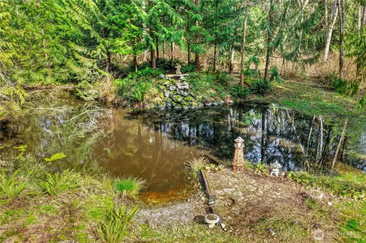 Pond with waterfall