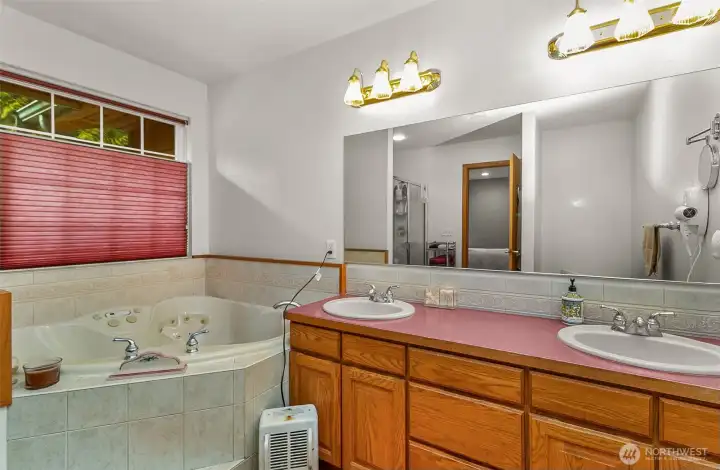 Primary bathroom with soaking tub.