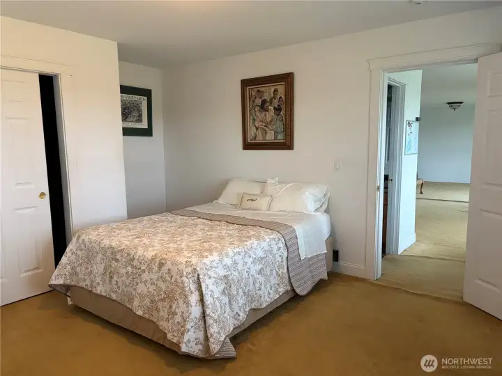 Lower Level Bedroom with a walk-in closet