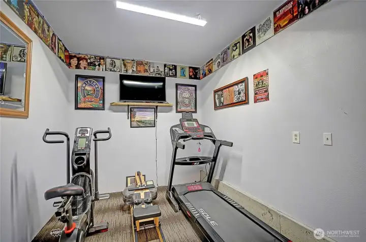 Dedicated home gym in the shop/garage.