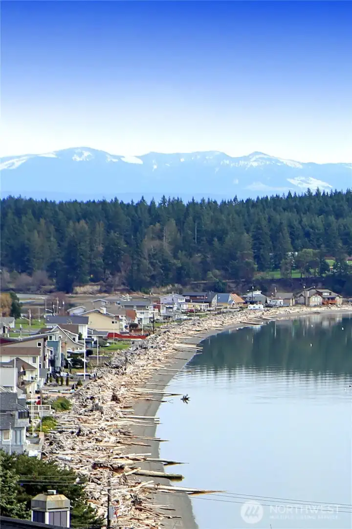 Beautiful Driftwood Shores.
