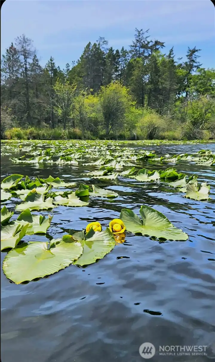 Cranberry Lake Cranberry Lake
