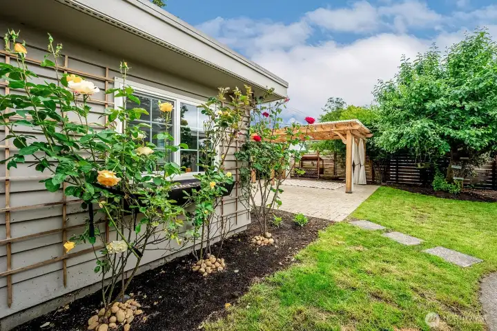 Mature landscaped