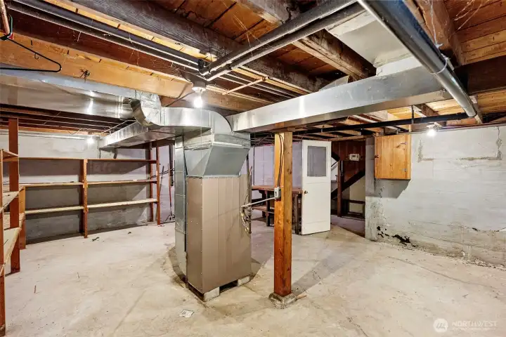 Unfinished Basement
