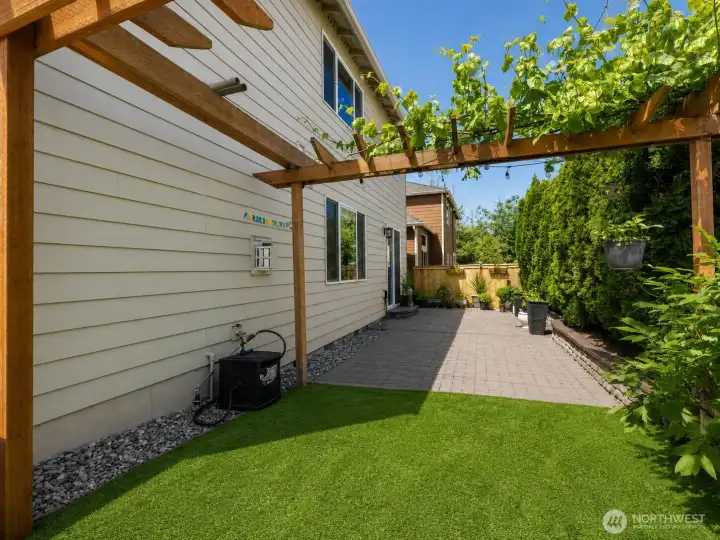 Backyard Backyard