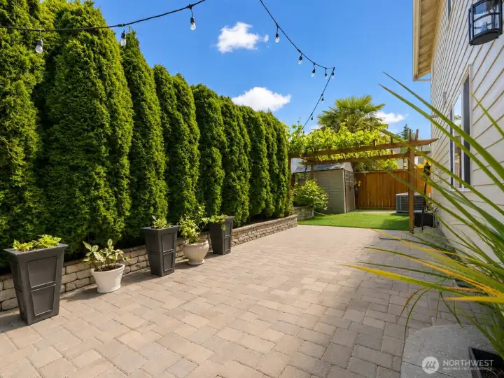 Backyard Backyard