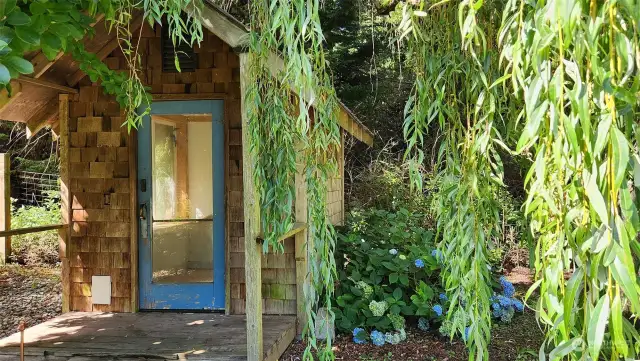 Small cabin under the Willow tree