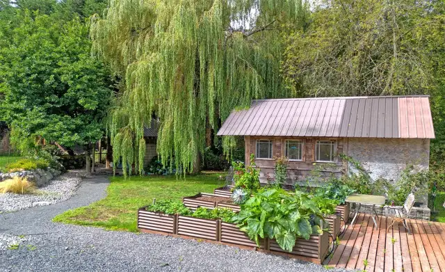 Cabins, Willow tree and Raised Garden