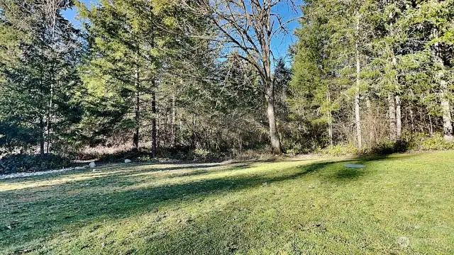 View of the landscape from the front yard