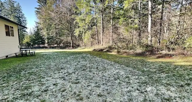 Side of house looking at the front yard