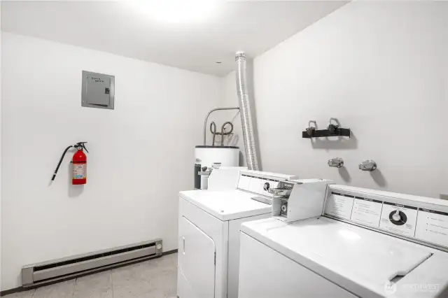 Shared Laundry