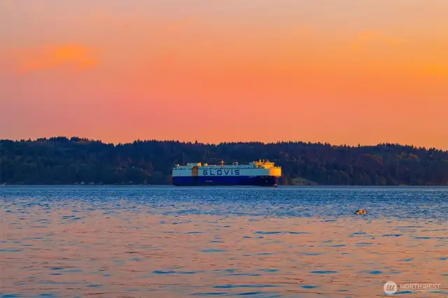 Daily world traveling vessels crossing the bay