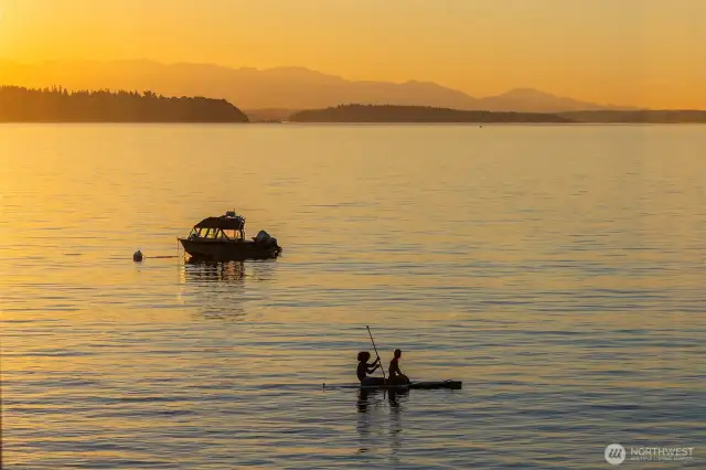 Three Tree Point's summer scene