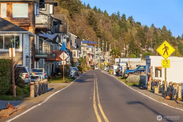 A truly iconic street where neighbors like to take strolls and walk their dogs.