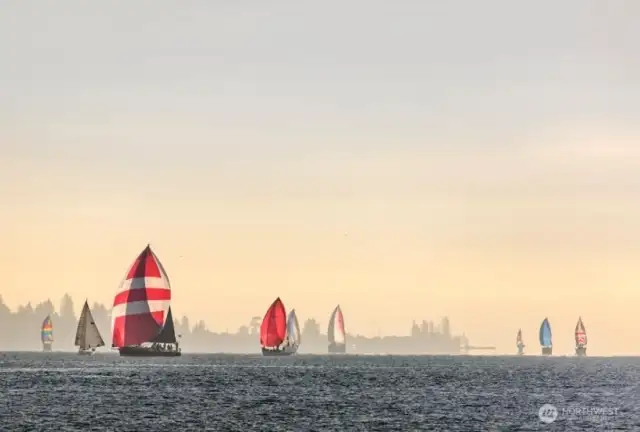 Regatta at the Point