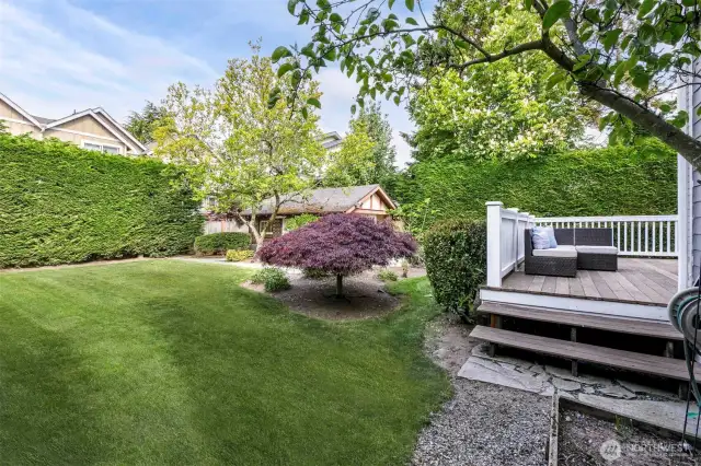 Westerly facing back yard.