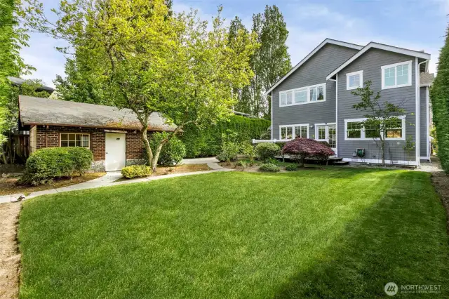 Back Yard