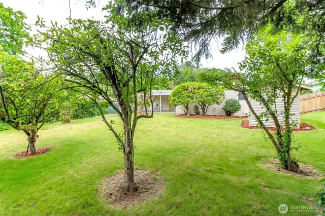 Another shot of the large Backyard