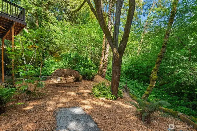 This ultra natural setting is a rarity in the city but will capture the heart of all nature lovers.