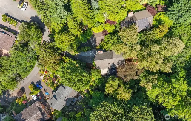 This drone shot shows the house in the middle of the picture surrounded by nature. Orchard St Ravine Trail is adjacent to the driveway offering wonderful options for a stroll. Just down the hill is the Morgan Junction with it's great shops.