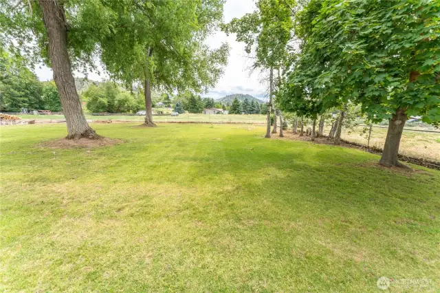 Pretty Yard Area
