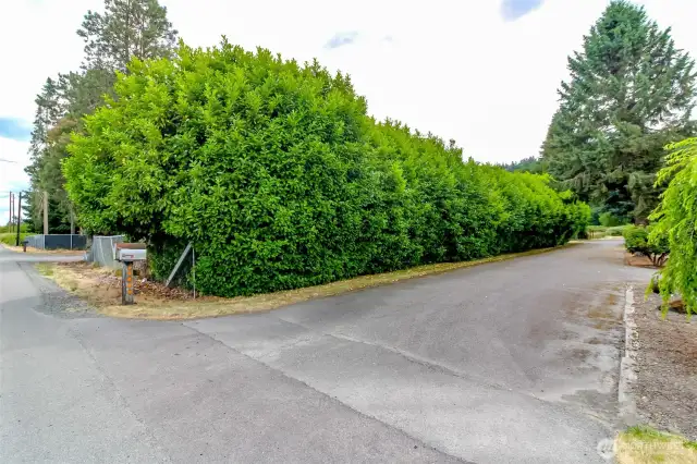 Shared paved driveway with friendly neighbor!