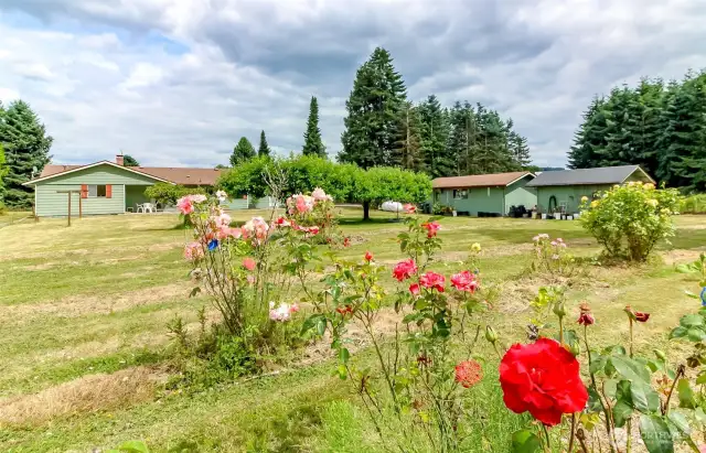 Owners founded the Puyallup Rose Association and the property was home to 600 roses and hundreds of flowers!