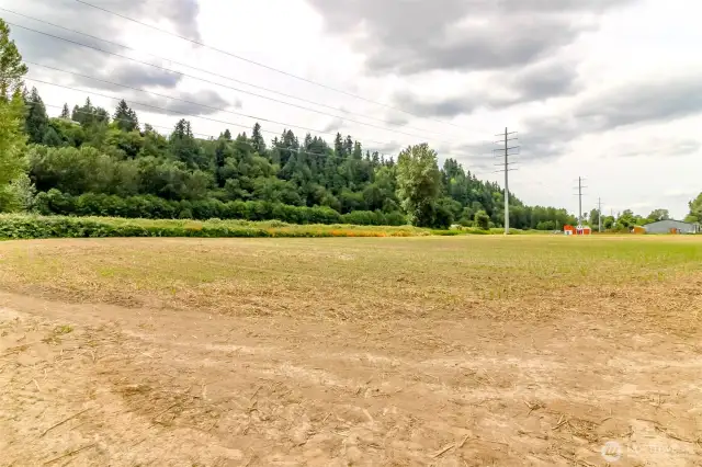 Back pasture is currently loaned to Spooners, no lease, no worries, owners were just happy to let them borrow it when they wanted to.