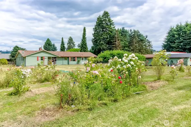 Imagine having a hobby farm or just peaceful space to call your own.