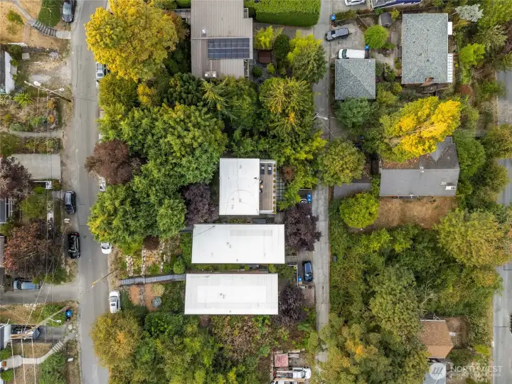 Absolutely incredible privacy in this home.