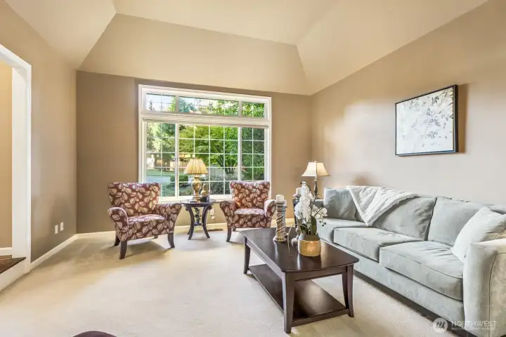 Vaulted tall ceiling in living room