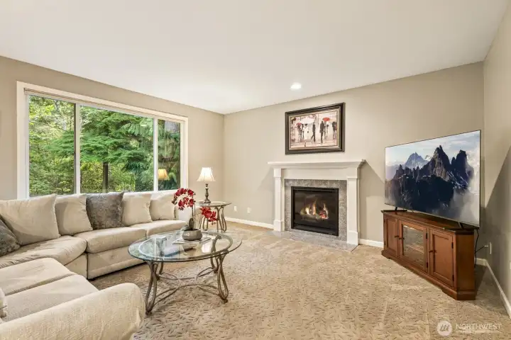 Remote controlled gas fireplace