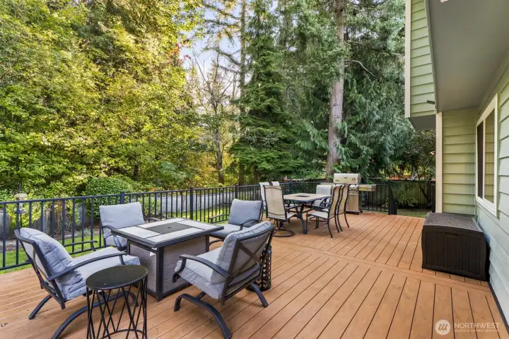 Newer Timbertech low maintenance deck