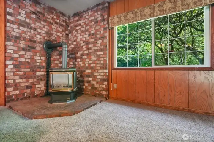 2nd Propane stove for those cozy winter nights!