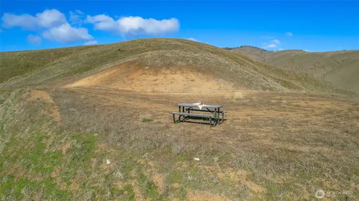 Natural landscape offering a blend of open space and native terrain